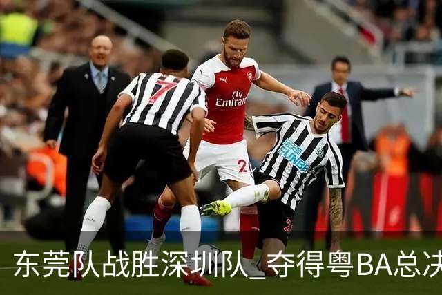 东莞队战胜深圳队 夺得粤BA总决赛冠军