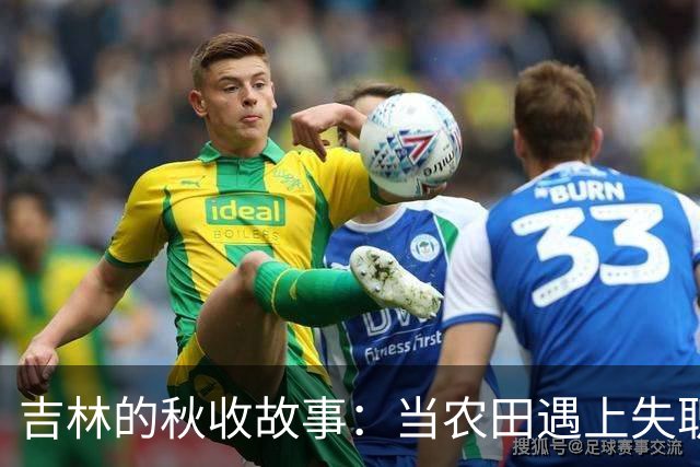 吉林的秋收故事：当农田遇上失职风波