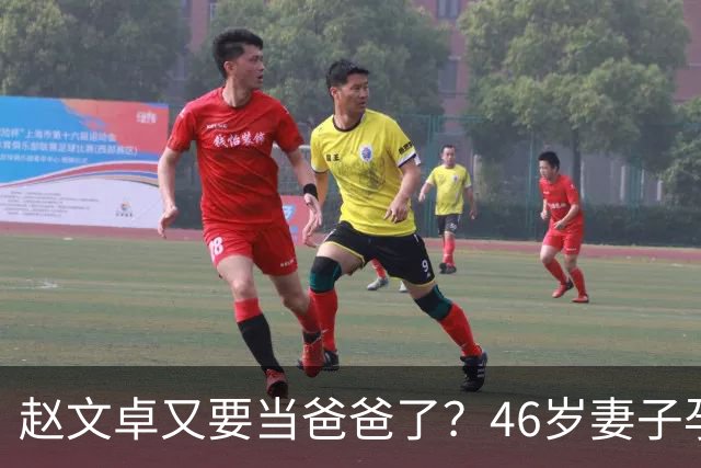 赵文卓又要当爸爸了？46岁妻子孕肚显露，背后故事让人感动
