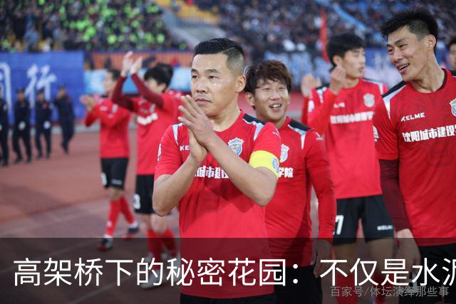 高架桥下的秘密花园：不仅是水泥的世界